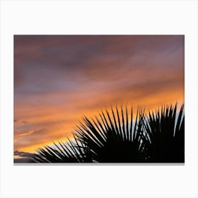 Palm leaves and colourful clouds at sunset Canvas Print