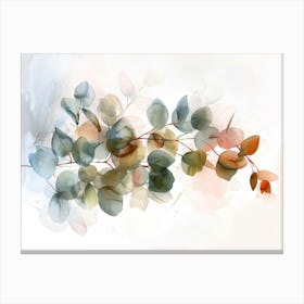 Eucalyptus Leaves 5 Canvas Print