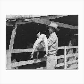 Untitled Photo, Possibly Related To Herding Goats Into Shearing Pen On The Ranch Of A Rehabilitation Borrower In Canvas Print
