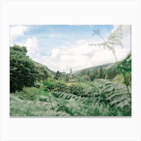 Killarney National Park, Ireland Canvas Print