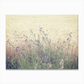 Field Of Flowers - Photography Canvas Print