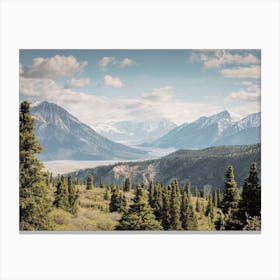 Forest Along Valley Basin Canvas Print