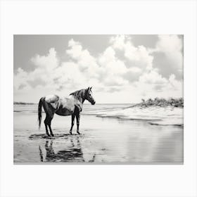 A Horse Oil Painting In Seven Mile Beach, Grand Cayman, Landscape 4 Canvas Print