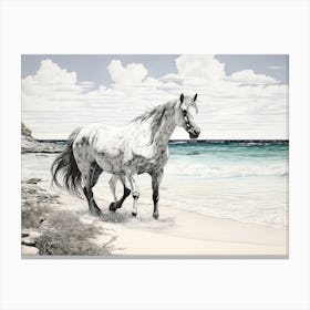 A Horse Oil Painting In Grace Bay Beach Turks And Caicos Islands, Landscape 1 Canvas Print