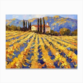 Vineyards In California Canvas Print