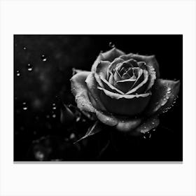 Black And White Rose Canvas Print