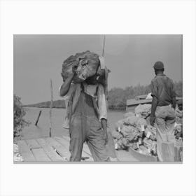 Untitled Photo, Possibly Related To Stevedore With Sack Of Oysters On Back, Olga, Louisiana By Russell Lee Canvas Print