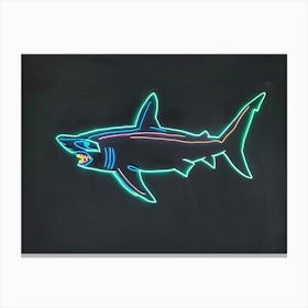 Aqua Hammerhead Shark 1 Canvas Print