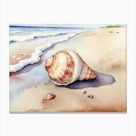 Seashell on the beach, watercolor painting 20 Canvas Print