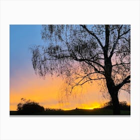 Sunset With A Tree 1 Canvas Print