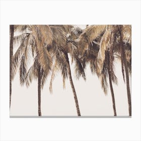 Pastel Palm Tree Sky Canvas Print