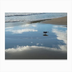 Bird and reflections on the beach Canvas Print