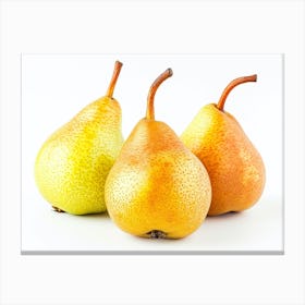 Three Pears Isolated On White Canvas Print