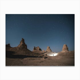 beautiful desert night Canvas Print