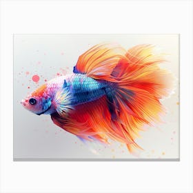 Siamese Catfish 6 Canvas Print