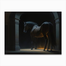 Horse In The Dark Canvas Print