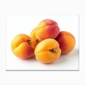 Apricots 16 Canvas Print