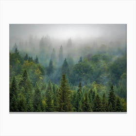 Misty Forest 2 Canvas Print