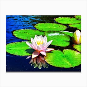 A Single White Lotus Flower Resting On A Tranquil Duck Pond Beneath A Radiant Summer Sun Petals Ge Canvas Print