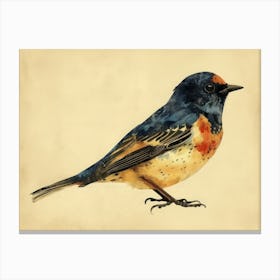 Calligraphic Wonders: Robin Canvas Print