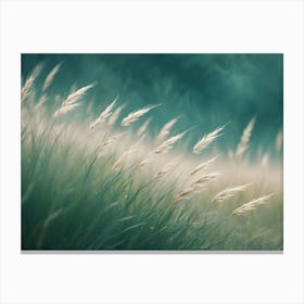 A Field Of Tall, Thin Grass With Feathery Tops Blowing In The Wind Canvas Print