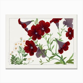 Matricaria & Salpiglossis Flower, Japanese Woodblock Canvas Print