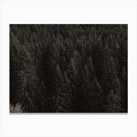 Moody Forest Scenery Canvas Print