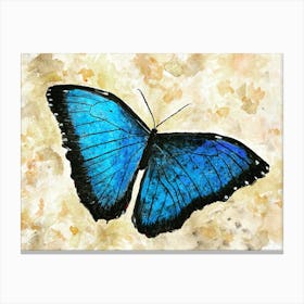 Blue Butterfly in Watercolour, Acrylic and Ink Canvas Print