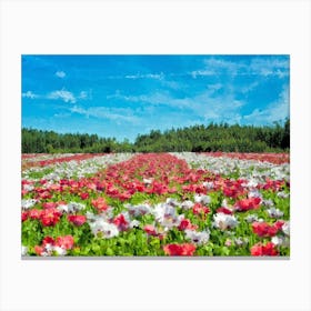 Flower Field, Oil Painting Canvas Print