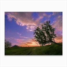 Lone Tree At Sunset 2 Canvas Print