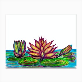 Water Lilies Canvas Print