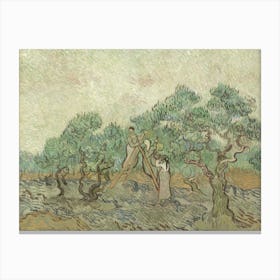 The Olive Orchard, By Vincent Van Gogh, 1889, Dutch Post Impressionist Painting, Oil On Canvas Canvas Print