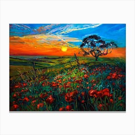 Sunset Over Poppies Canvas Print