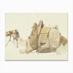 Vintage Camel Canvas Print