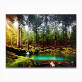 Mossy Forest 2 Canvas Print