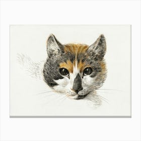 Head Of A Calico Cat With Open Eyes, Jean Bernard Canvas Print