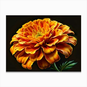 Orange And Yellow Flower On Black Background 1 Canvas Print