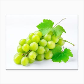 Green Grapes 5 Canvas Print