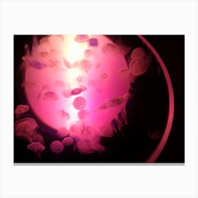 Neon jellyfish  Canvas Print