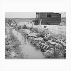 Garden By Irrigation Ditch And Home Of The Browning Family, Fsa (Farm Security Administration) Rehabilitation Borrowers Canvas Print