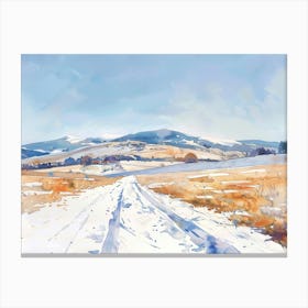 Snowy Road 3 Canvas Print