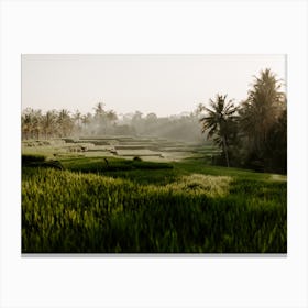 Bali Rice Fields Photograph, 10 Canvas Print