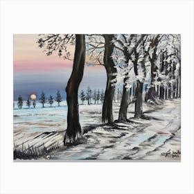 White Winter Canvas Print