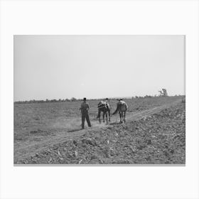 Son Of Tenant Farmer Going To The Field With Mules, Muskogee, Oklahoma, See General Caption Number 20 By Russell Canvas Print