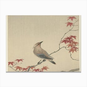 Bird On A Branch 5 Canvas Print