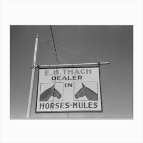 Sign Of Horse And Mule Dealer, Eudora, Arkansas By Russell Lee Canvas Print