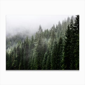 Misty Forest Canvas Print