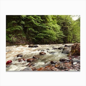 River In The Forest 1 Canvas Print