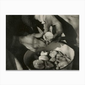 Georgia O’Keeffe—Hands (1920–1922), Alfred Stieglitz Canvas Print