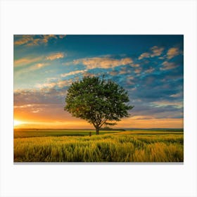 Lone Tree In A Field Canvas Print